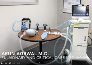 Ventilator sharing configuration with independent manual controls